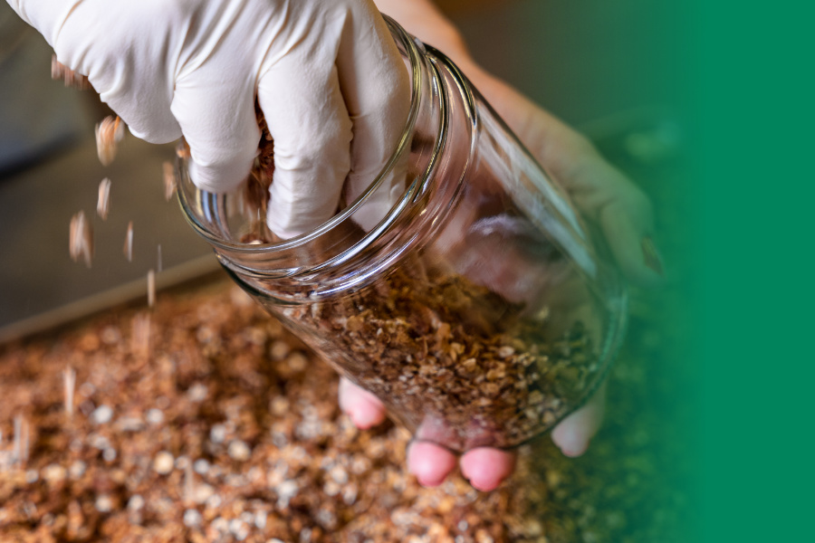 banner_granola_2